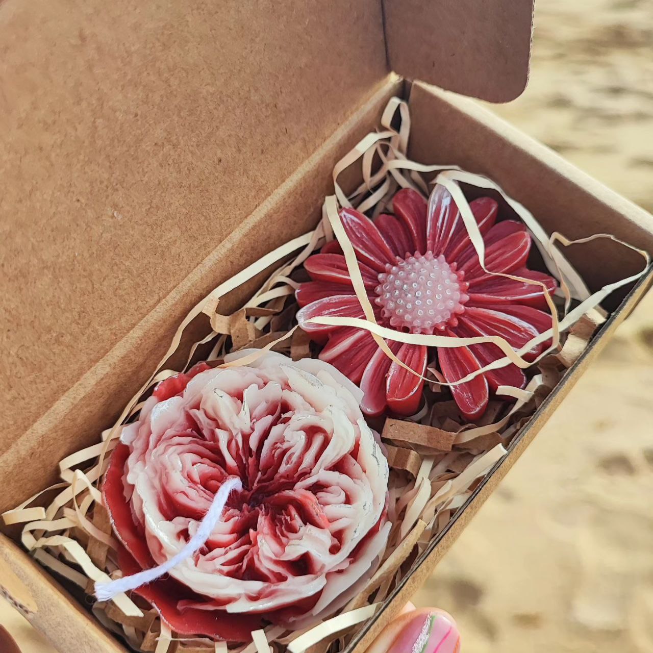 Conjunto de sachês de cera com aroma de flor de margarida e vela Rosa Austine