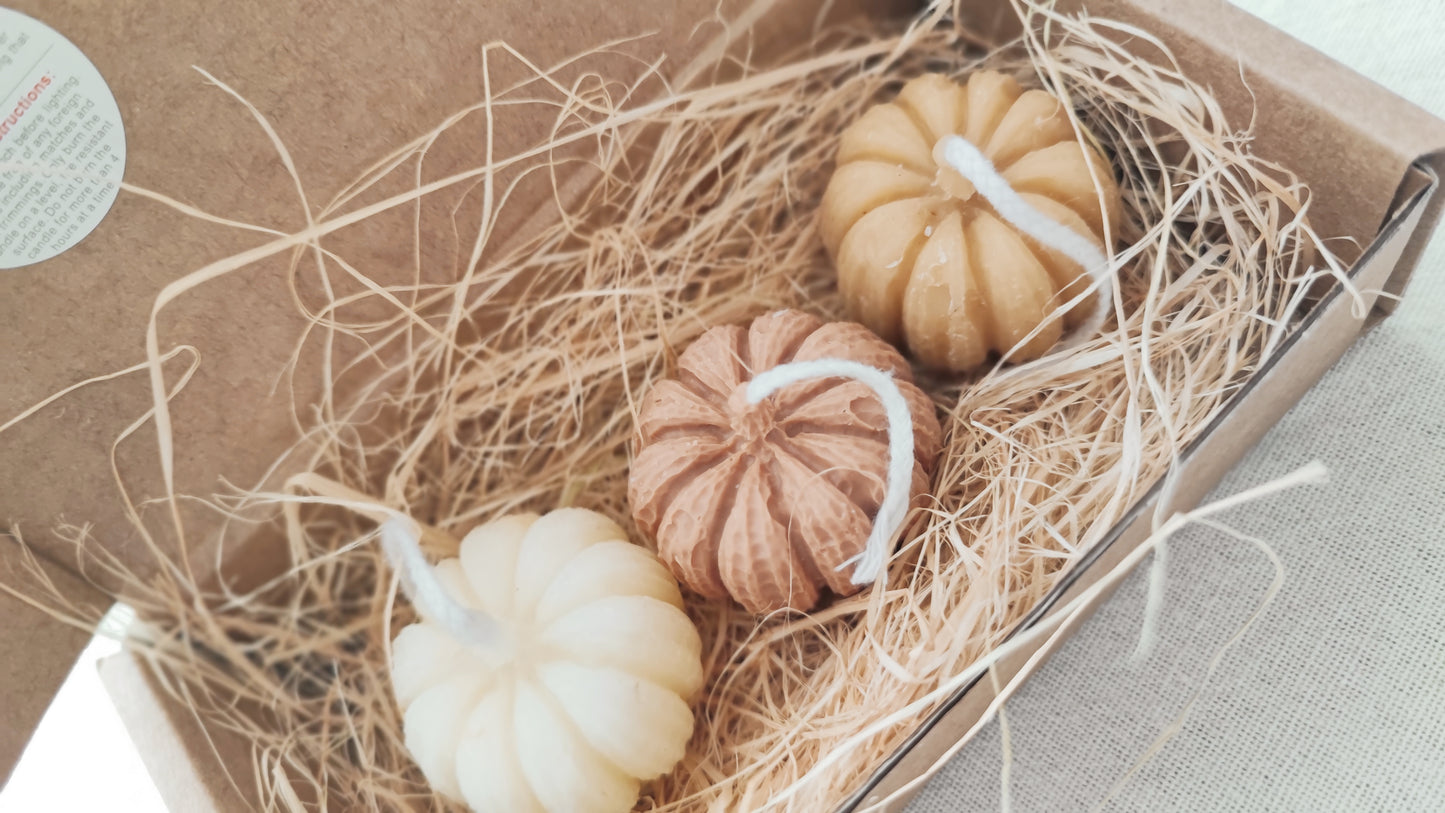 Set Mini Pumpkin 3pcs