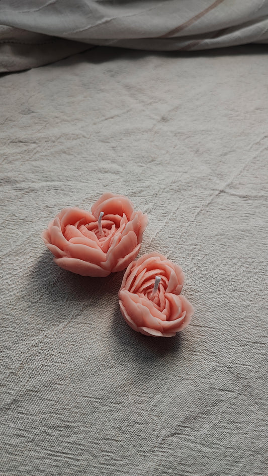 Rose Heart mini