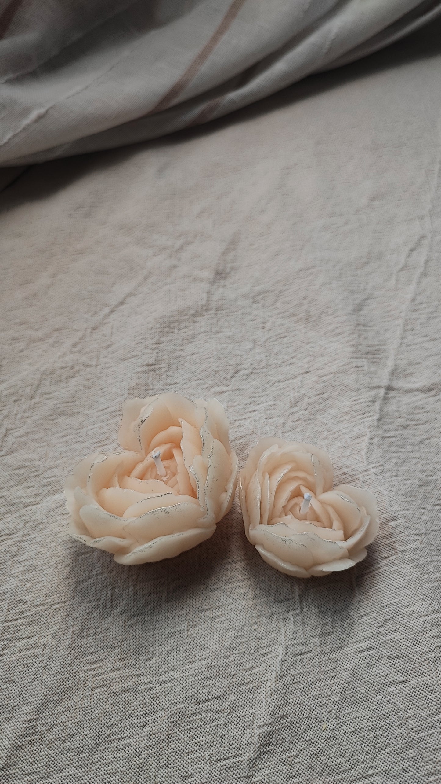Rose Heart mini