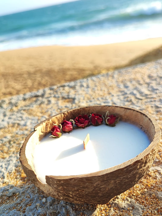 Coconat Massage Shell Candle