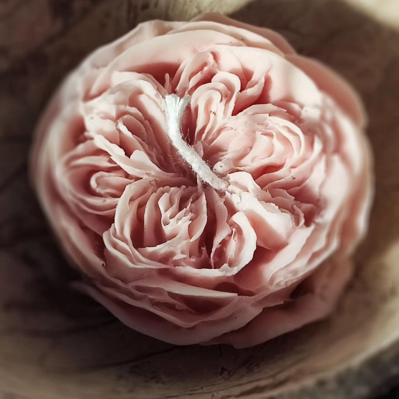 Rosa Austine Claire Candle