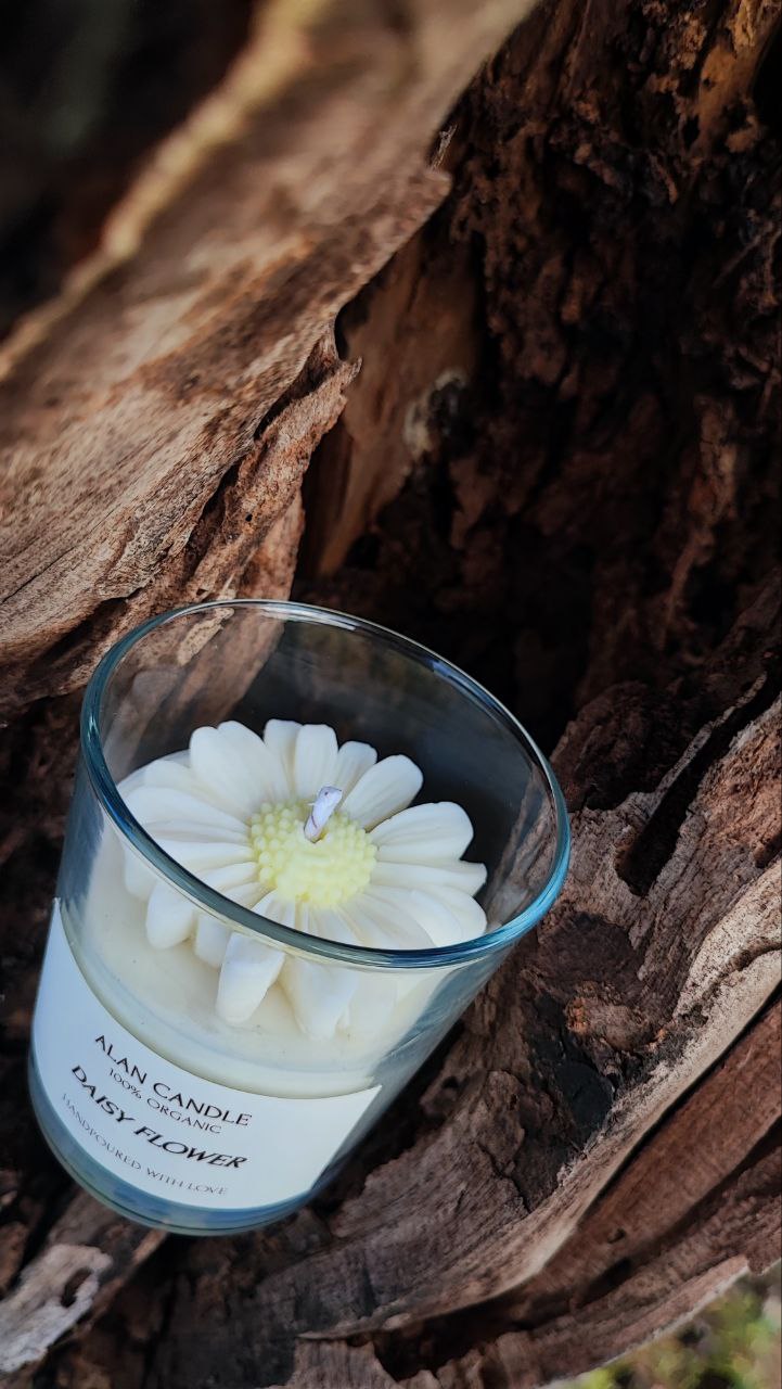 Daisy Flower Candle