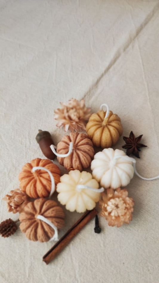 Set Mini Pumpkin 5 pcs