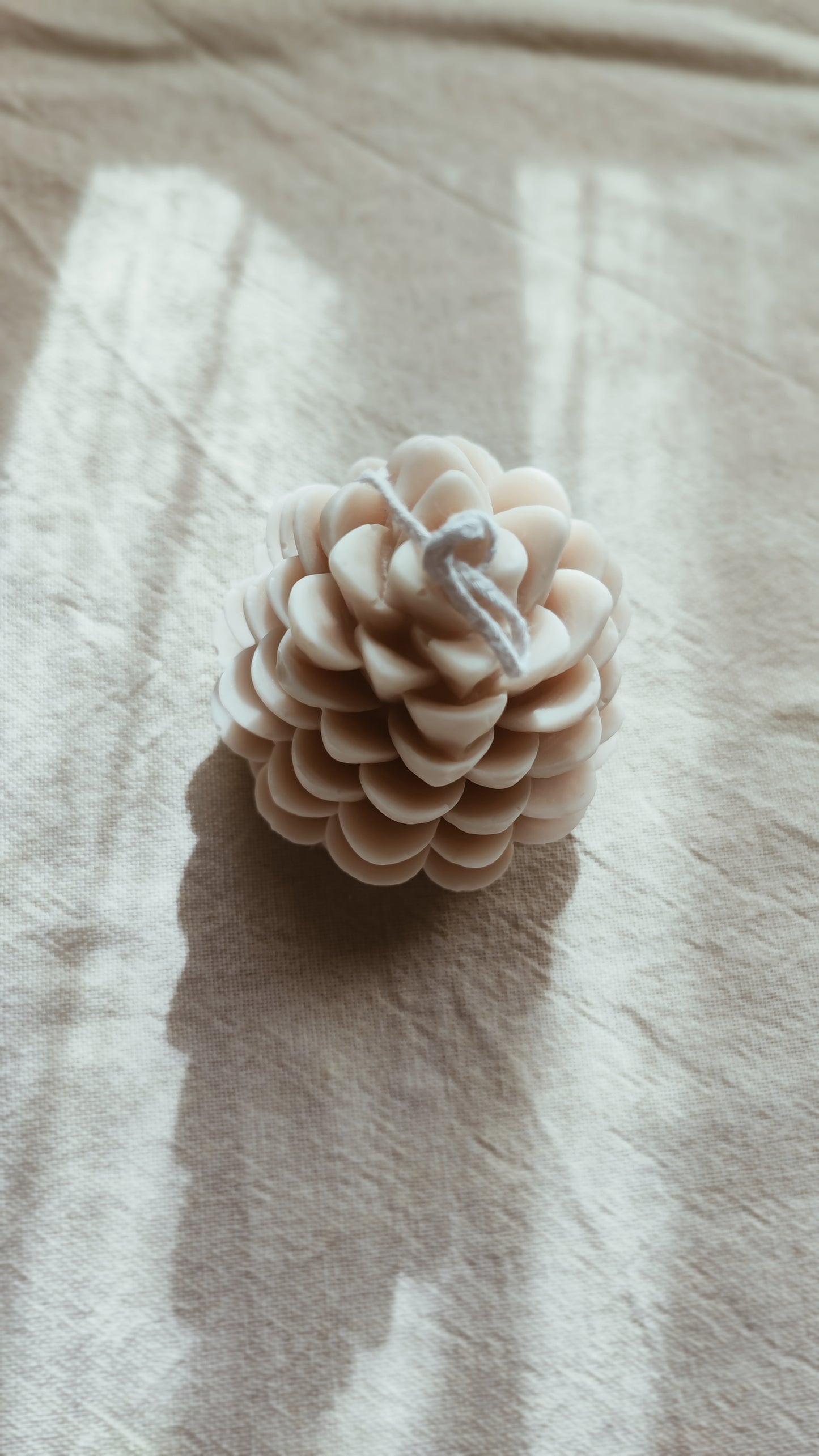 Pinecone Candle